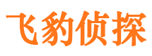 崇阳市侦探公司